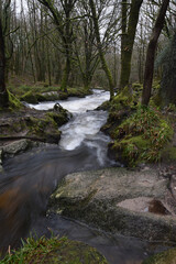 Golitha falls Bodmin Moor Cornwall
