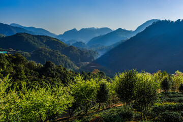 Angkhang mountain at chiangmai, Thailand