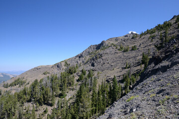 Mt Washburn trail in Yellowstone National Park, Wyoming, USA