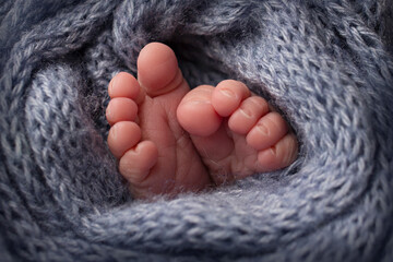 legs and toes of a newborn in a soft grey blanket