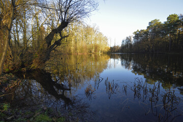 Autumn lake with blue sky