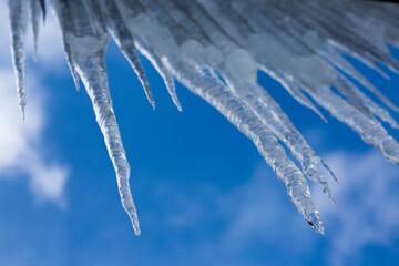Obraz na płótnie Canvas Close-up of icicles against blue sky