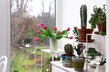 Frühling, Blumen, Wintergarten, Balkon