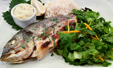 Meal of fish with herb salad and sauce