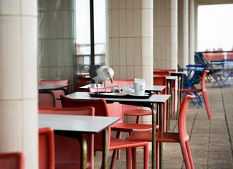 Seagull at outdoor tables in restaurant