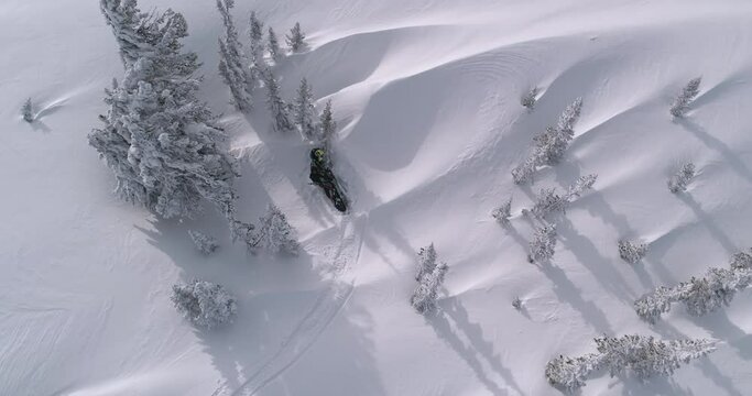 TOP VIEW: The pilot of a mountain snowmobile is stuck in a winter forest. the snowmobiler tries to free the snow bike from the trees to go further. christmas forest after a snow storm. Winter fun moto