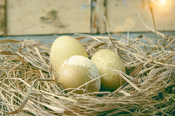 Colorful Easter eggs are made to celebrate Easter
