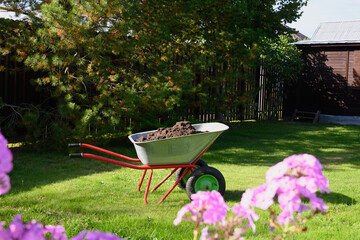 Full wheelbarrow with humus on green lawn in garden. Seasonal work and fertilization. Outdoors.