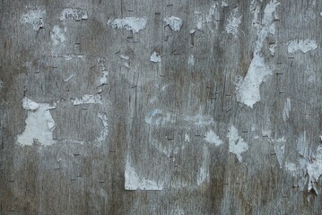 wood texture of gray dirty plywood wall with pieces of white paper