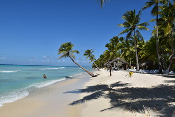 Playa en el Mar Caribe. Punta Cana. Isla Saona