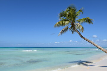 Fototapeta na wymiar Playa en el Mar Caribe. Punta Cana. Isla Saona