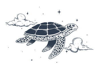flying turtle in the sky - 415793419