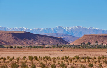 View of the green plain and snowy Atlas Mountains