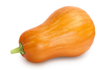 butternut squash isolated on white background with clipping path and full depth of field