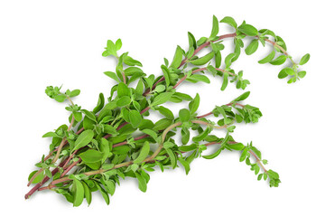 Oregano or marjoram leaves isolated on white background with clipping path and full depth of field. Top view. Flat lay