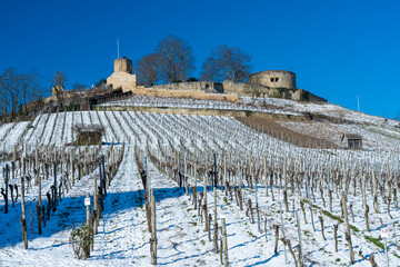Weibertreu bei Weinsberg im Winter
