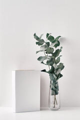 Transparent vase with eucalyptus and a book on a white background. Minimalism, eco-materials in the interior decor. Copy space, mock up.