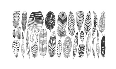 Hand drawn rustic ethnic decorative feathers. Tribal bird feathers collection. Vector ink illustration isolated on white background. Black and white geometric ornament, graphic design element.