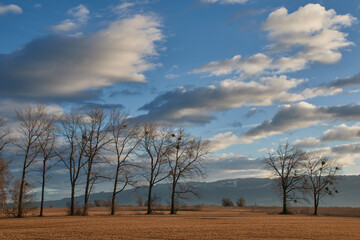 Imposing play of clouds over meadows and trees