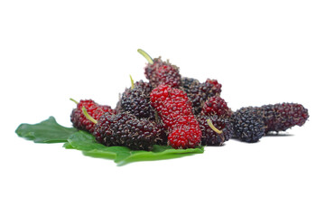 Mulberry fruits with green leaves isolated on white background. selective focus the mulberry