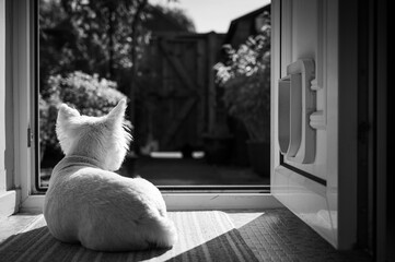 Longing
