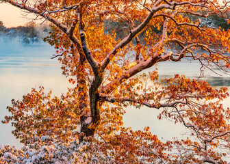 Massachusetts-Beverly-Wenham Lake