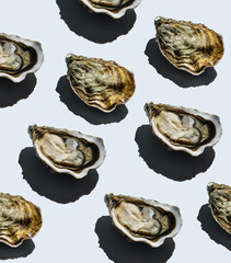 Open oyster Fin de Claire on gray background Pattern