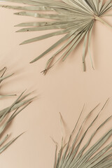 Gros plan sur une feuille de palmier tropical sec. Fond pâle pêche. Composition de texture florale minimale.