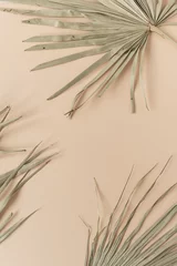 Papier Peint photo Melon Gros plan sur une feuille de palmier tropical sec. Fond pâle pêche. Composition de texture florale minimale.