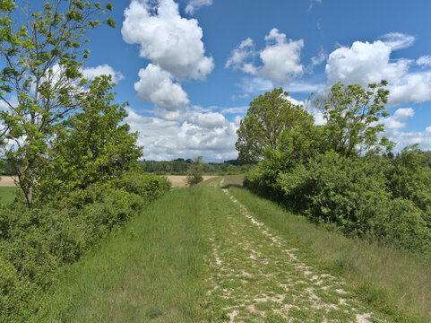 Path through nature with trees, bushes and clouds in a blue sky in summer