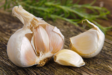 Garlic plant in detail