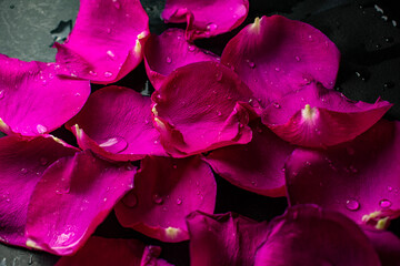 Ярко-розовые лепестки роз на 8 марта