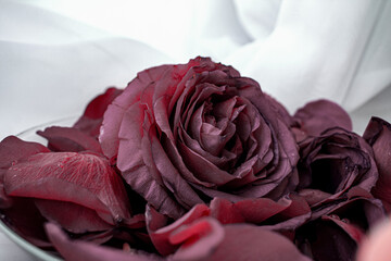 Цветы на праздник 8 марта