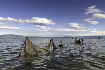 Closeup shot of fishnets in the Ebro River on the Mediterranean Sea in Catalonia Province, Spain
