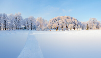 Snowy sunny day in the park