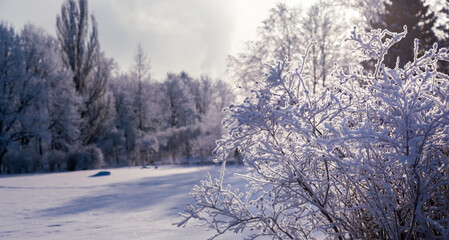 Snowy sunny day in the park