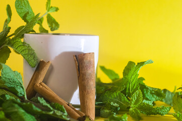 cup with mint leaves and cinnamon bark with yellow background vertically © Danilo Oliver