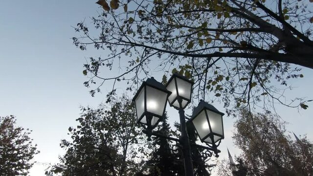 Look up street lump against tree and blue sky. Walk in the park concept, Tirana, Albania