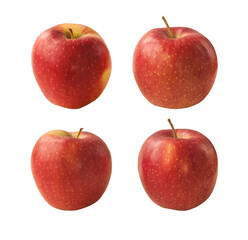 Apple   Red Prince on a white background