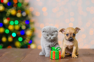 Fototapeta na wymiar Couple of kitten and puppy sitting on the floor against the background of a christmas tree next to a small gift