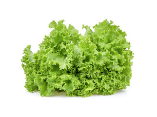 fresh green lettuce salad leaves on white background