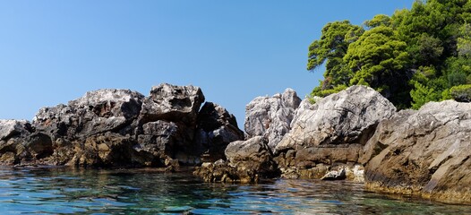 Scenic jagged rocks  and pinetrees at sea coast