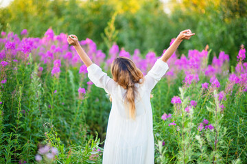 A young woman stands in the Ivan tea field. Spring mood concept. Collection of medicinal herbs