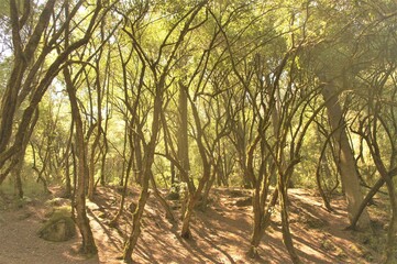 Obraz premium Conexión