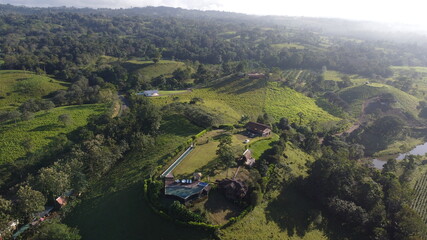 view of vineyards