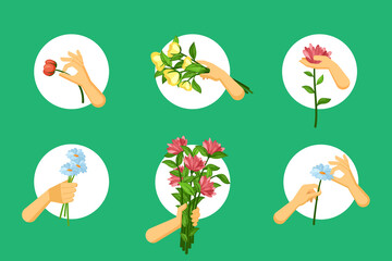 Hands hold flowers set. Red plucked chrysanthemums for birthday bouquet blue field cornflowers romantic confession yellow elegant tulips on day solemn anniversary. Vector natural decoration.