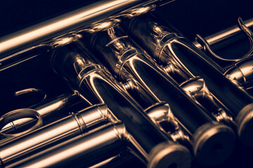
Close up of the valves of a trumpet on a black background. Details of a trumpet