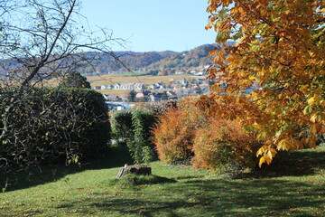 Vue de Mont-sur-Rolle depuis un parc en automne