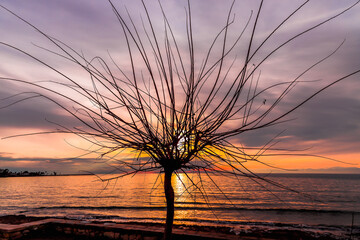 Silhouette of tree with dry branch at the Seashore on amazing colored sunset and purple clouds at background in Antalya Turkey, Copy Space.