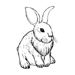 Vintage Graphic Rabbit Vector printing, bunny, sketching